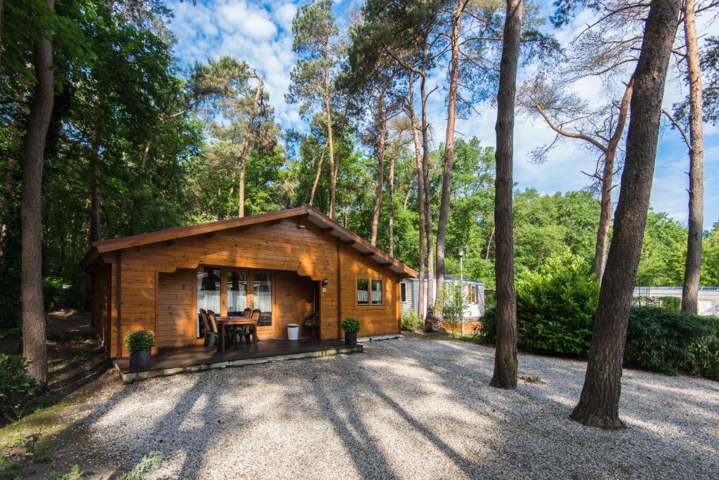 Bospark De Brenkberg Schinveld Quarto foto