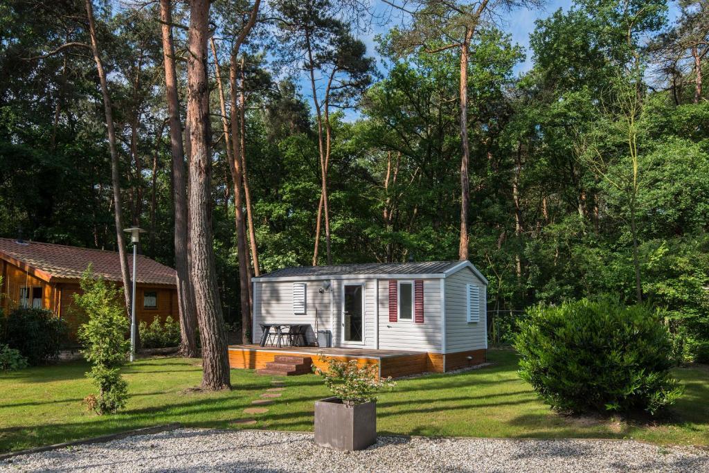 Bospark De Brenkberg Schinveld Quarto foto