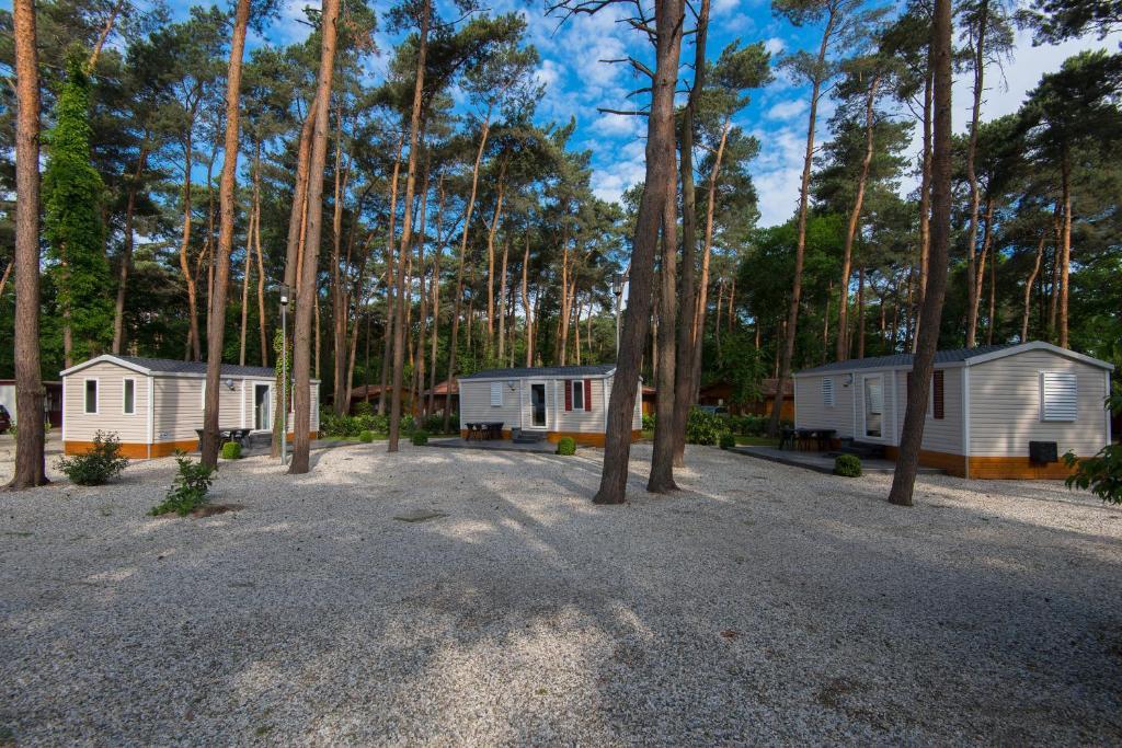 Bospark De Brenkberg Schinveld Quarto foto