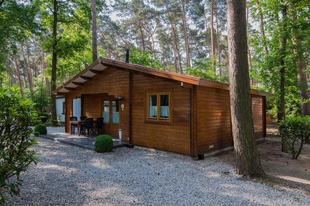 Bospark De Brenkberg Schinveld Quarto foto